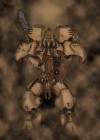 Desert Hound