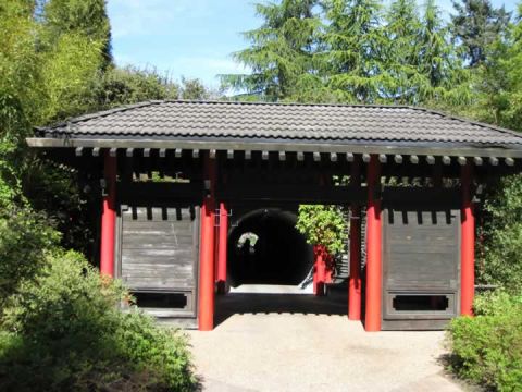 UBC Botanical Garden 2