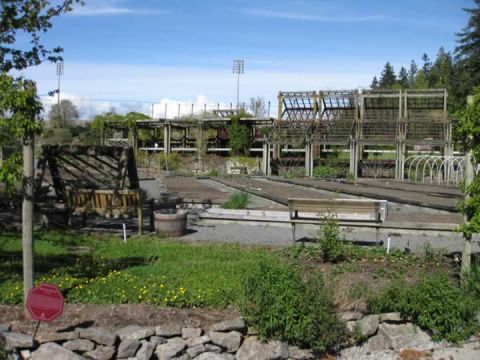 UBC Botanical Garden 3