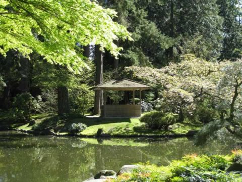 Nitobe Memorial Garden 6