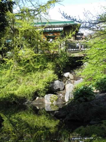 UBC Botanical Garden 1