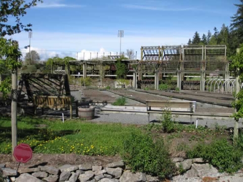 UBC Botanical Garden 3