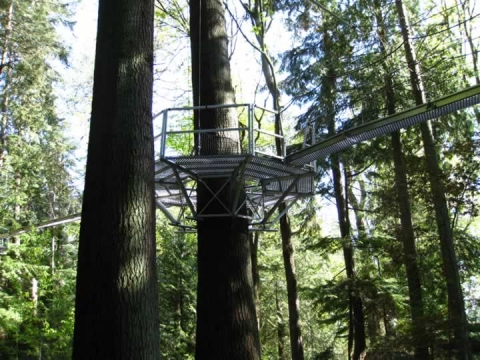 UBC Botanical Garden 11