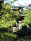 UBC Botanical Garden 1