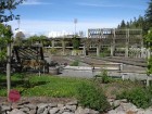 UBC Botanical Garden 3