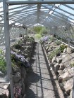 UBC Botanical Garden 4