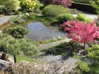 UBC Botanical Garden 5