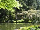 Nitobe Memorial Garden 6