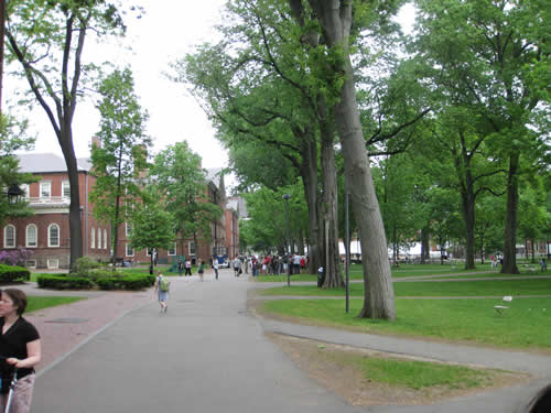 Harvard University Harvard University