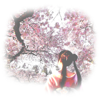 Pink theme background