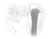 Silver (white) theme background