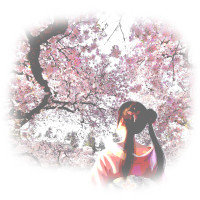 Pink theme background