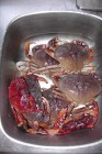 Crabbing Hurl 2009-07