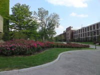 RPI campus flowers