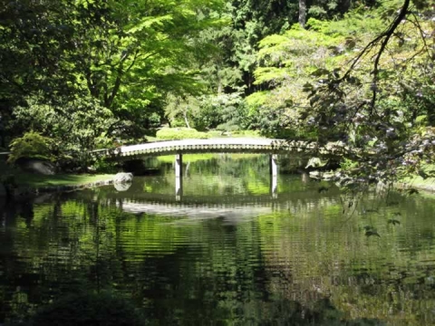 Nitobe Memorial Garden 2