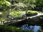 Nitobe Memorial Garden 5